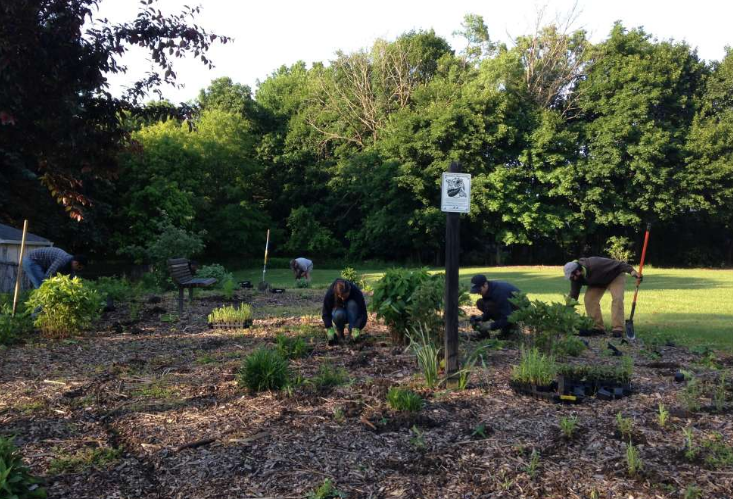 Mill Creek MetroPark Wildlife Garden in Neighborhood Lot 7.jpg (1000×750)